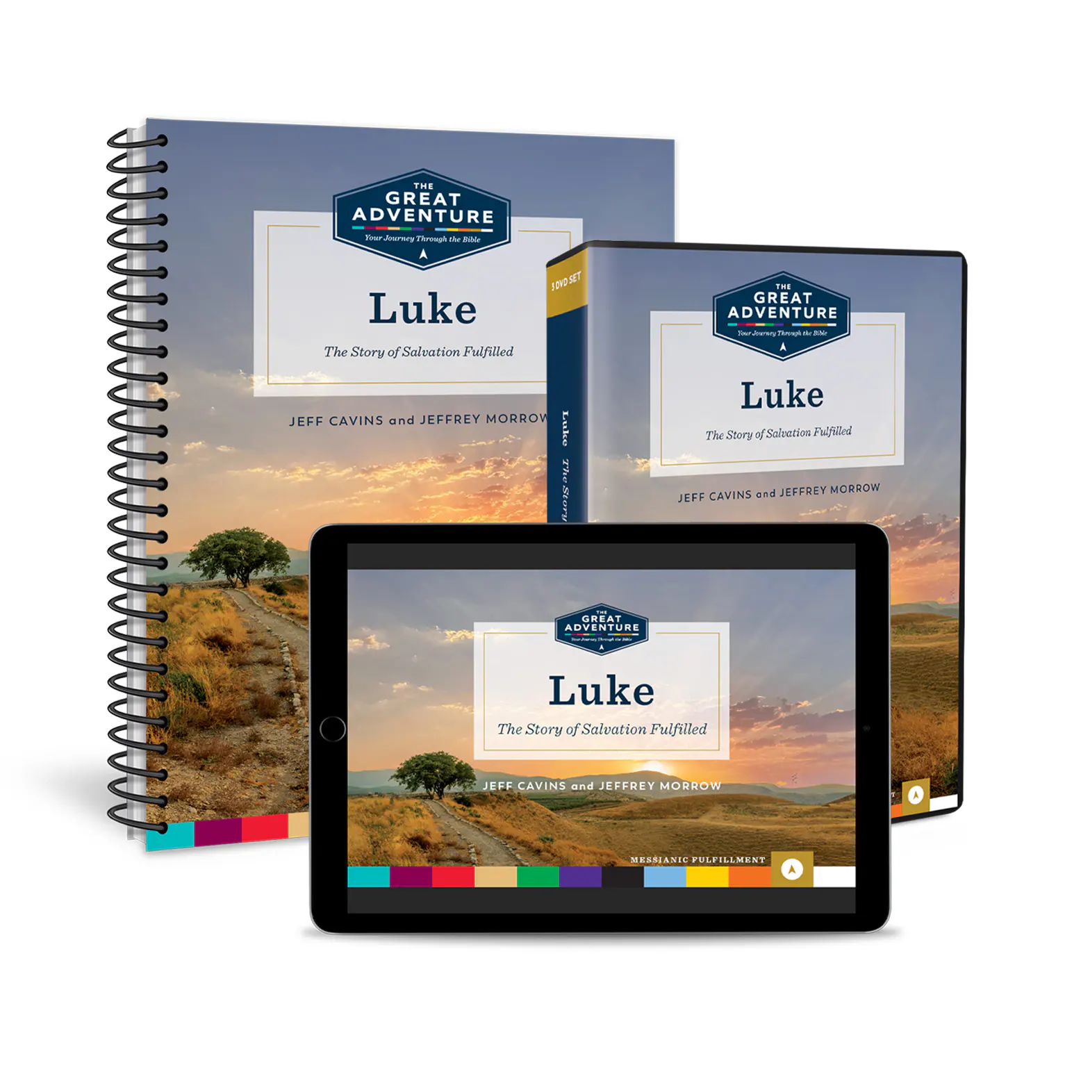 Luke: The Story of Salvation Fulfilled